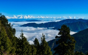 Things to do in Auli Chopta