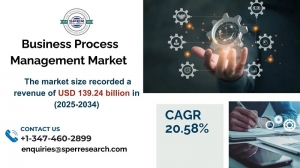 Business Process Management MarketSize, Demand, Growth and Trends 2034