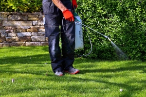 Weed Control Tips That Keep Lawns Healthier All Year Round 