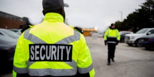 VIP Security Services
