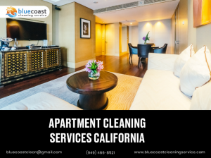 10 Simple Tips to Keep Your Apartment Clean Between Professional Visits