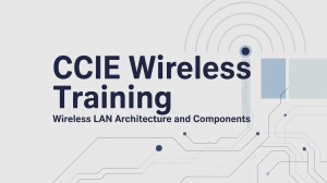 CCIE Wireless Training Wireless LAN Architecture and Components