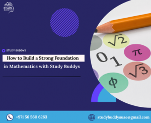 How to Build a Strong Foundation in Mathematics with Study Buddys