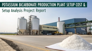 Potassium Bicarbonate Production Plant Setup Cost and Project Report 2025
