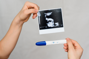 What Facilities Provide Comprehensive Pregnancy Support Services?