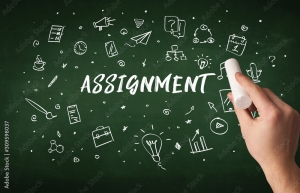 Assignment Writing Service