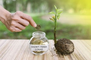 Understanding Short Term Loans and Their Benefits