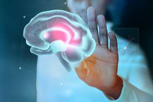 The Neuroscience of Olfactory Wellness: Transformative Approaches to Modern Stress Management