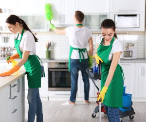 The TR19 Extraction Cleaning Guide: Mistakes, Fixes, and Best Practices