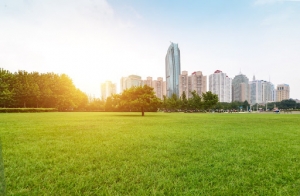 What Challenges Do Urban Areas Face in 2025?