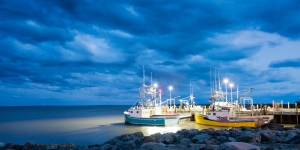 Expert Tips for Selecting the Best Marine LED Lights