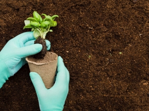 How Does Liquid Fertilizer Work in Hydroponics for Faster Plant Growth?