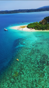 Best Resorts in Havelock Island: Stay by the Beach