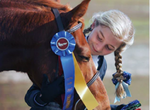 How to Select the Perfect Equestrian Trophy or Rosette for Your Show