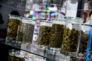 Why Visiting a Cannabis Dispensary Can Be an Experience, Not Just a Purchase