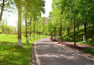 What Are the Benefits of Green Space in Urban Areas?