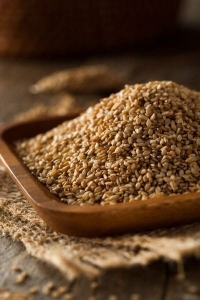 Organic Edible Seeds in Bulk | Wholesale Supplier – Treety Foods