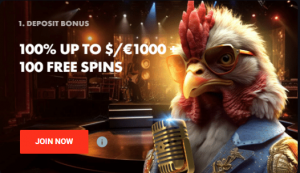 Roosterbet Methods For Safer Smarter Digital Gaming Adventures