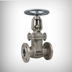 Gate Valve Manufacturers in Ahmedabad, India | MNC Valves