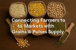 Connecting Farmers to Markets with Grains & Pulses Supply | Zarea Limited