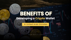 Why is the UAE the Perfect Place to Launch Your Crypto Wallet?