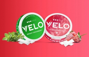 The Rise of Tobacco-Free Pouches: What You Should Know