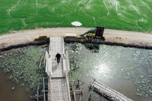 The Role of Water-Efficient Plumbing Designs in Smart Cities