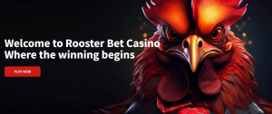 How Online Pokies Shifted Classic Forms Into Modern