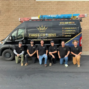 Professional Electrical Services