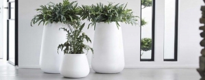 Modne doniczki do domu – styl, natura i elegancja w jednym