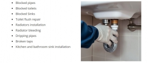 Local Plumber in Bristol: Professional Plumbing Solutions