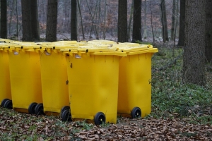 How Seasonal Changes Affect Trash Bin Hygiene and What You Can Do