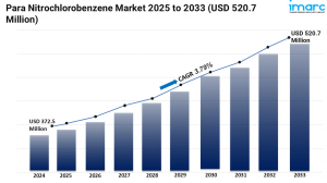Para Nitrochlorobenzene Market Size, Share and Trends 2025-2033