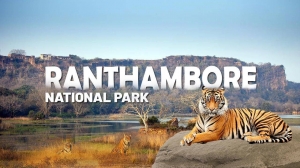 Top Tourist Attractions in Ranthambore You Can’t Miss