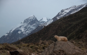 High Altitude, Steep Paths, and Harsh Weather: India’s Toughest Treks Revealed