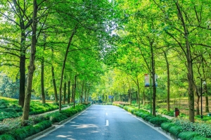 What Benefits Do Urban Green Spaces Provide Communities?