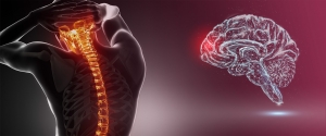 Neuro Spinal Care in Dubai: Restoring Mobility, Relieving Pain, Renewing Lives