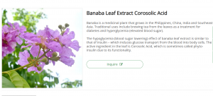 Unlocking the Potential of Banaba Leaf Extract: A Natural Support for Wellness