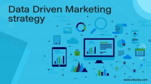 Enhancing ROI with Data-Driven Marketing Strategies