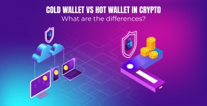 Cold Wallet vs Hot Wallet in Crypto: What are the differences?
