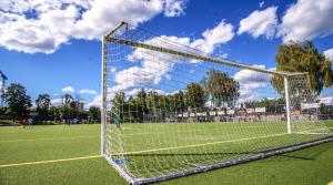 Looking to Upgrade Your Outdoor Space with a Clean, Lush Look? Here’s Why Artificial Grass Is the Perfect Solution