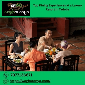 Top Dining Experiences at a Luxury Resort in Tadoba