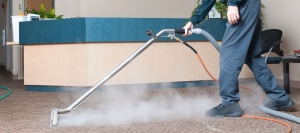 From Stains to Freshness: How Carpet Cleaning in Paddington Transforms Your Home