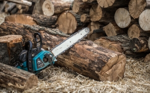 Rochester NY Tree Removal Services