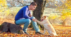 Dog Waste Cleanup Henderson: Keeping Your Yard Clean, Safe, and Healthy