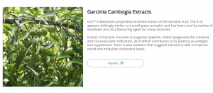 Unlocking the Potential of Garcinia Cambogia Extract: Benefits, Uses, and Comparisons