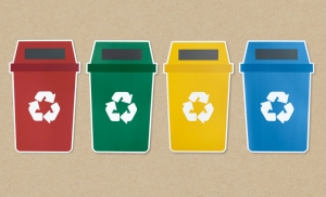 Eco-Conscious Bin Cleaning: Protecting Your Neighborhood and the Planet