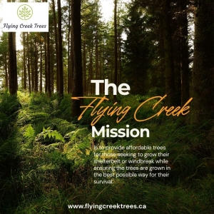 Top Regina Trees Supply for Stunning Landscapes – Flying Creek Trees