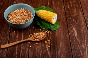 Benefits of corn ddgs