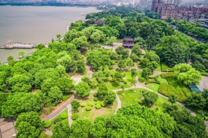 7 Inspiring Studies on Green Spaces and Mental Health